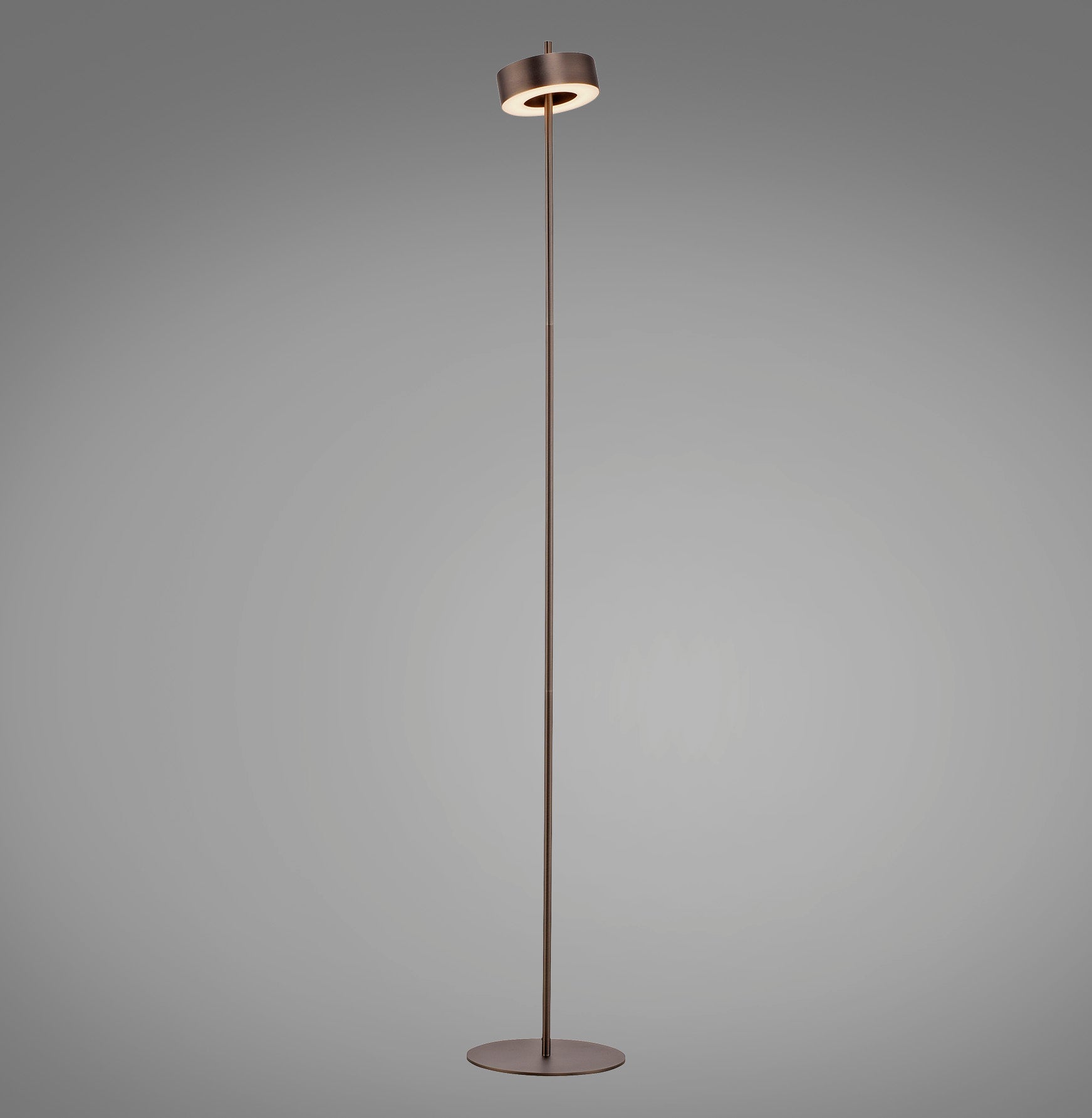 Modern Decorative Light by Zuma Line