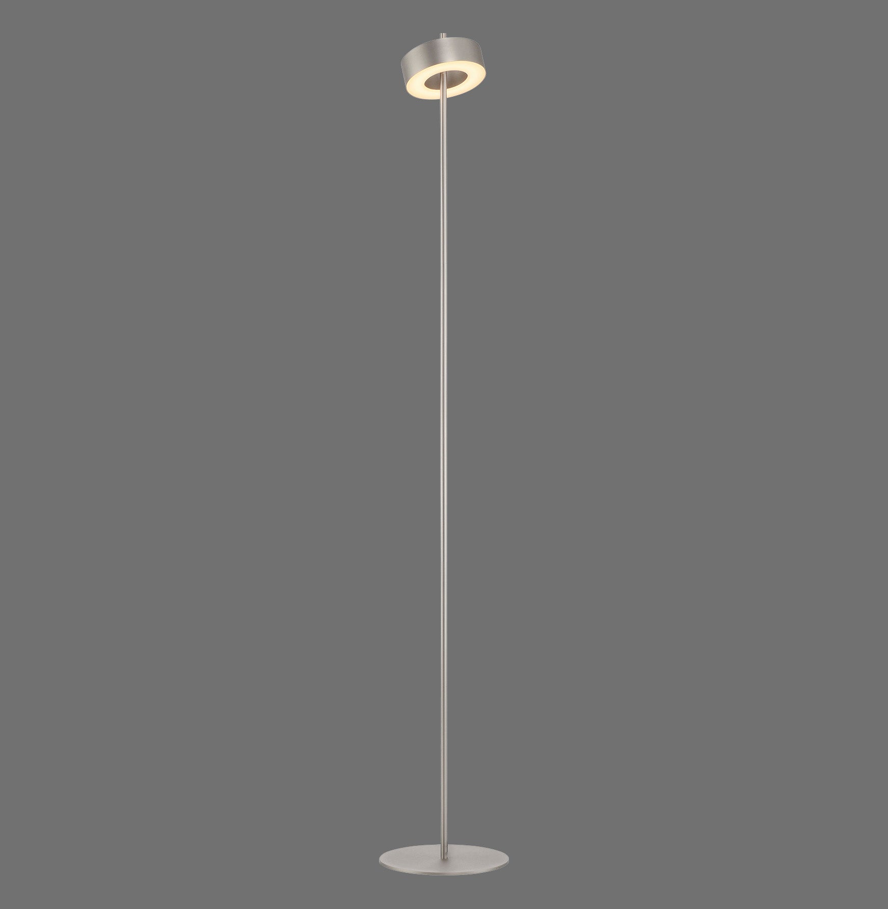 Modern Decorative Light by Zuma Line