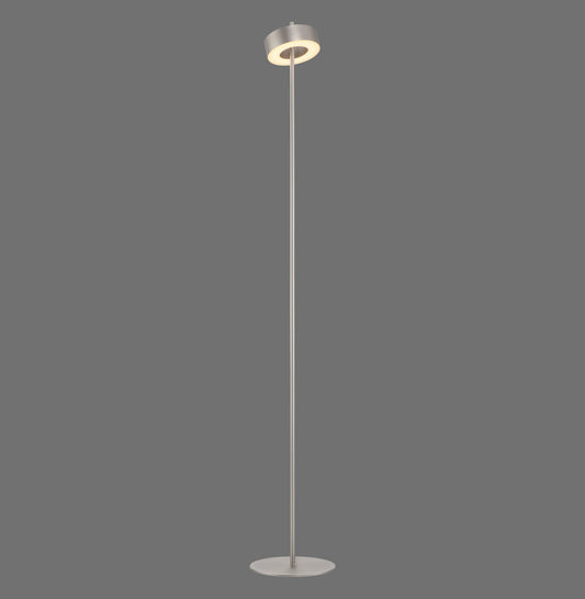 Modern Decorative Light by Zuma Line