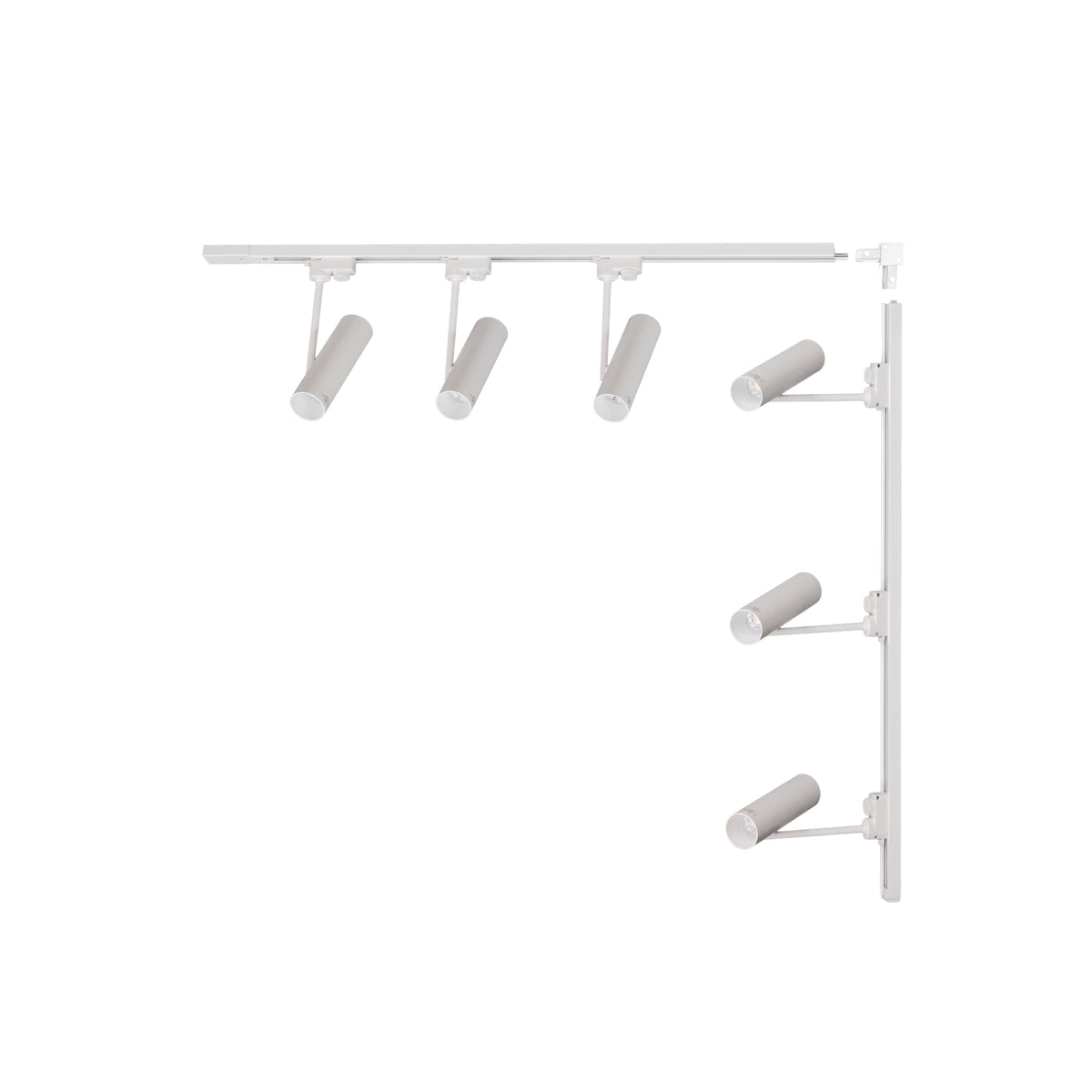 Modern Decorative Light by Zuma Line