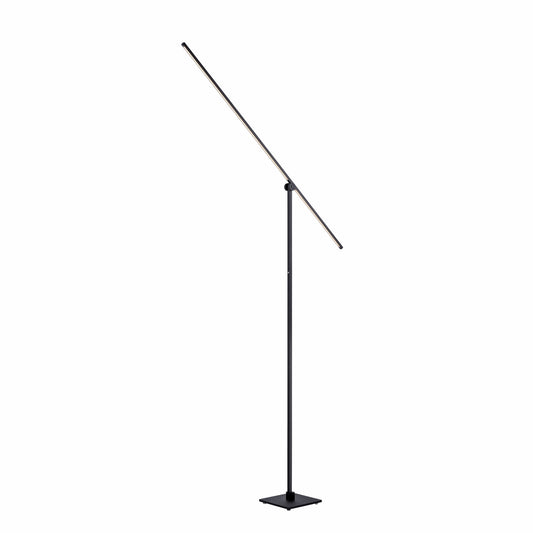 Modern Decorative Light by Zuma Line