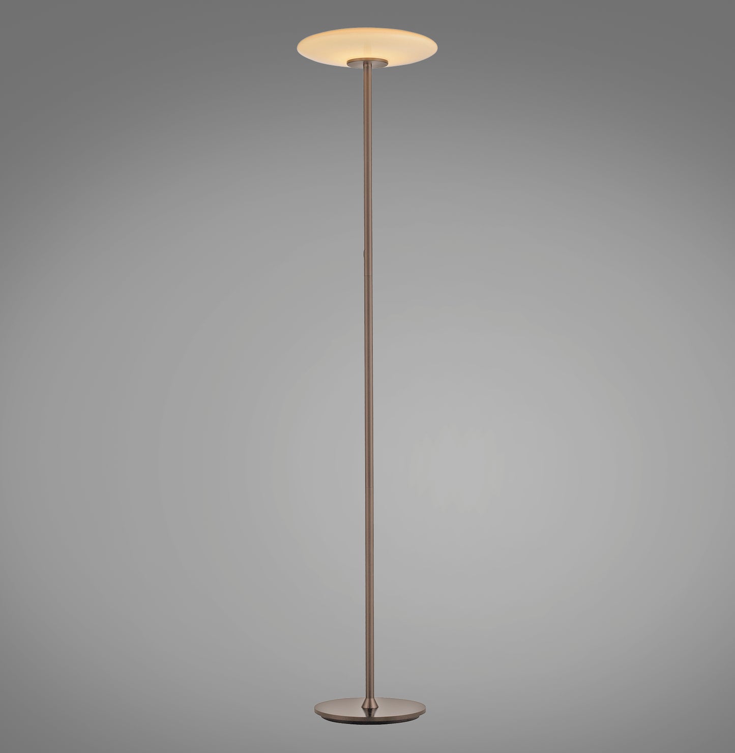 Modern Decorative Light by Zuma Line