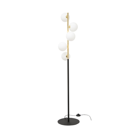 Modern Decorative Light by Zuma Line
