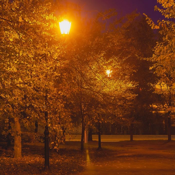 LED POLE 1XE27 LAMP MAT BLACK CLEAR COVER 120° 35X137 IP44