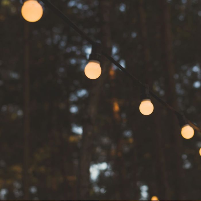 LED STRING LIGHT 5M WITH EURO PLUG + 10 x0.5W WW 300lm LAMPS