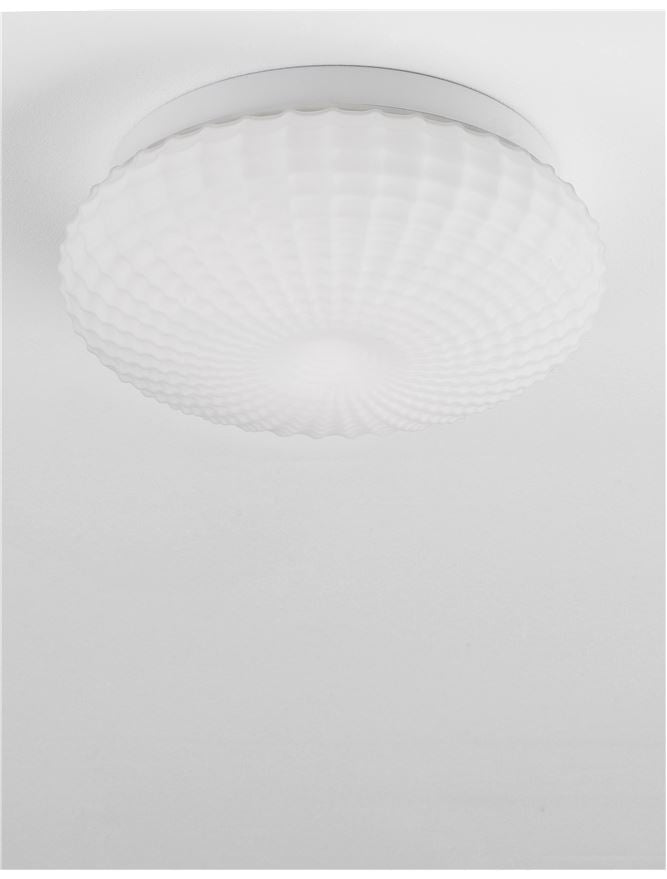 LED BATHROOM LIGHT - CLAM