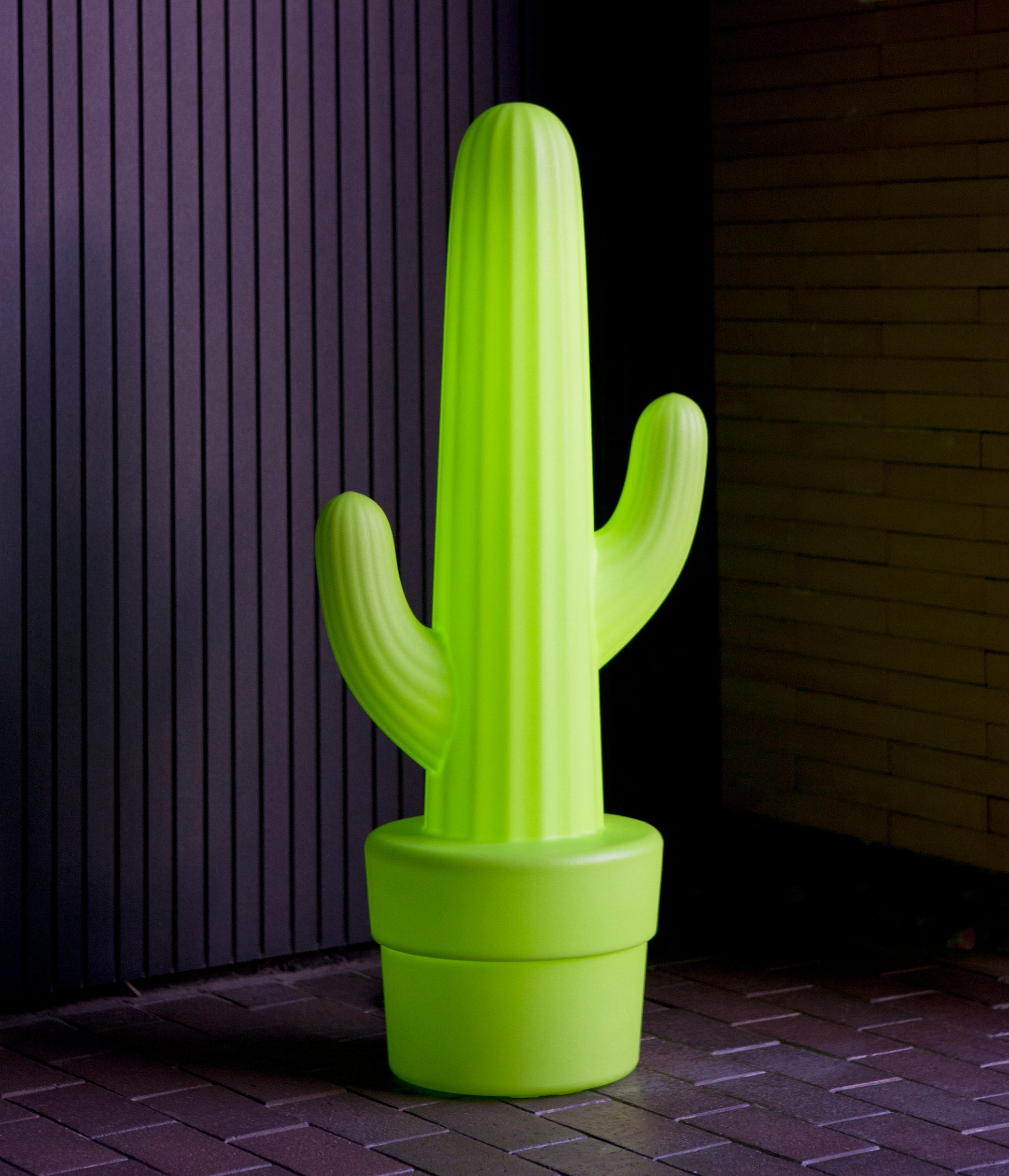 Modern Decorative Light by Zuma Line