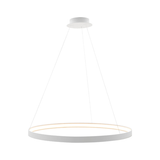 Modern Decorative Light by Zuma Line