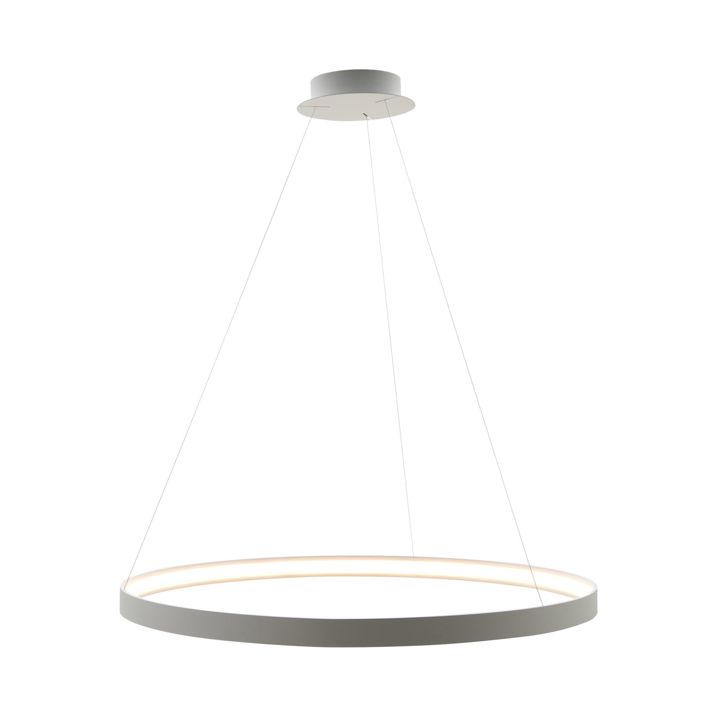 Modern Decorative Light by Zuma Line