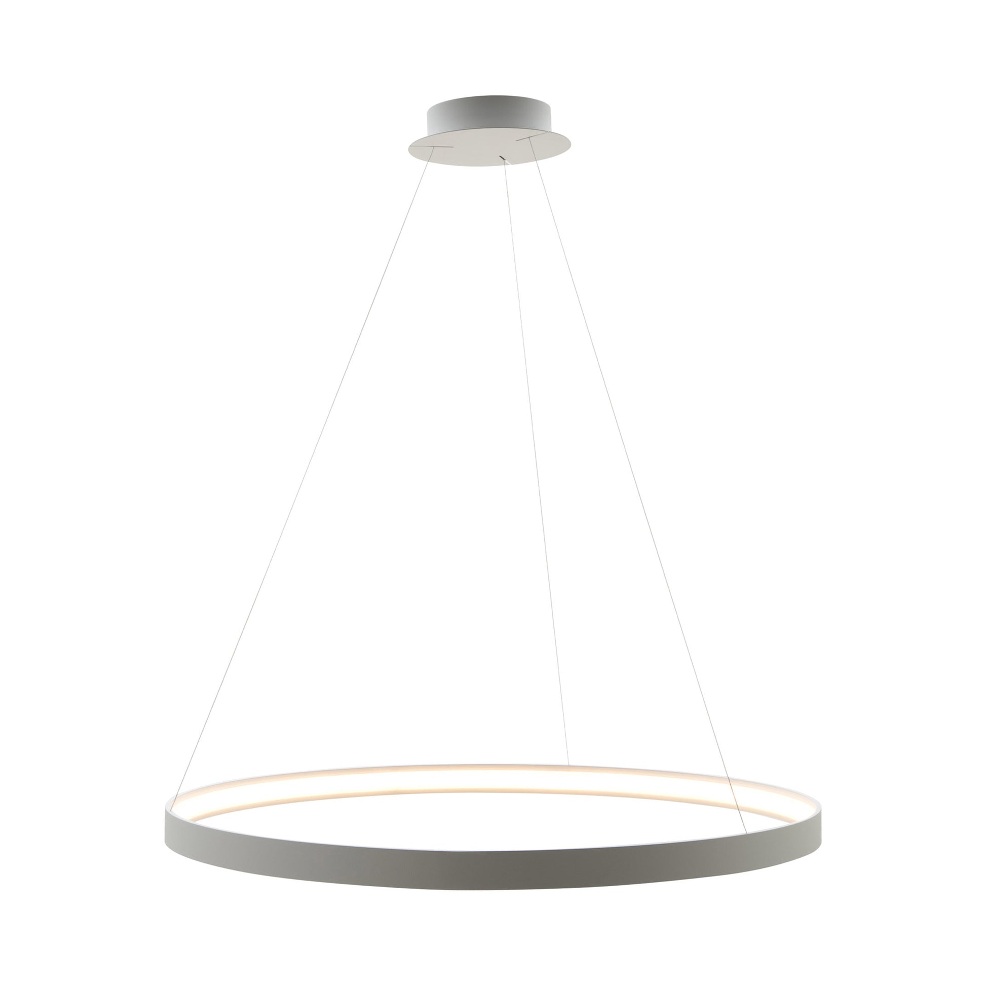 Modern Decorative Light by Zuma Line