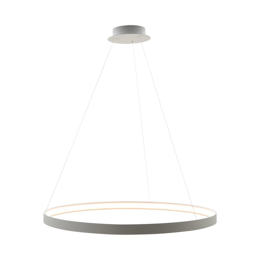 Modern Decorative Light by Zuma Line