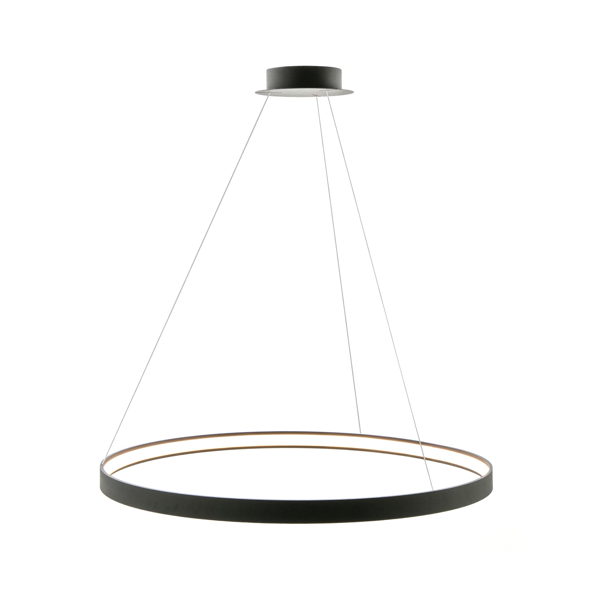 Modern Decorative Light by Zuma Line