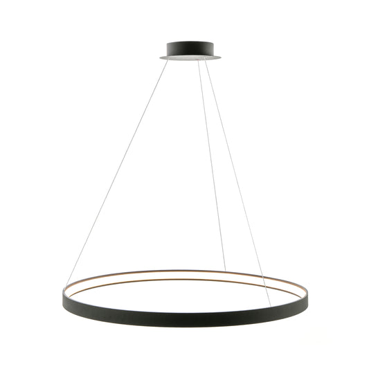 Modern Decorative Light by Zuma Line