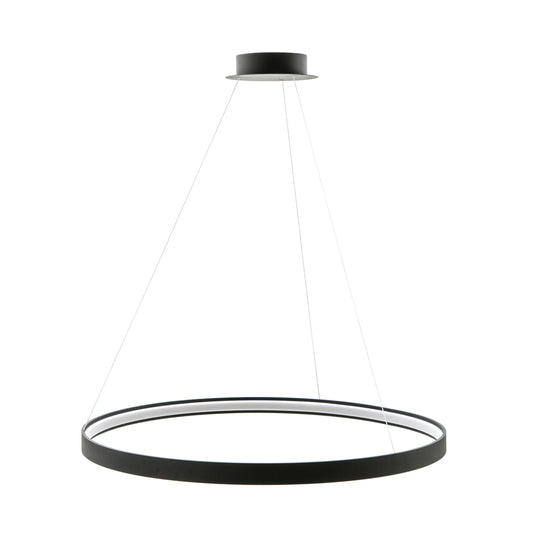 Modern Decorative Light by Zuma Line