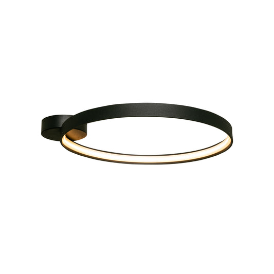 Modern Decorative Light by Zuma Line