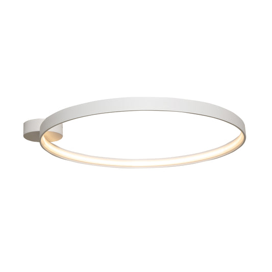 Modern Decorative Light by Zuma Line