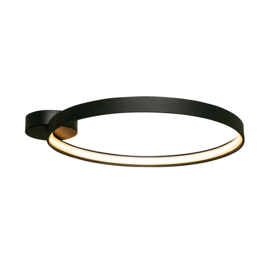 Modern Decorative Light by Zuma Line