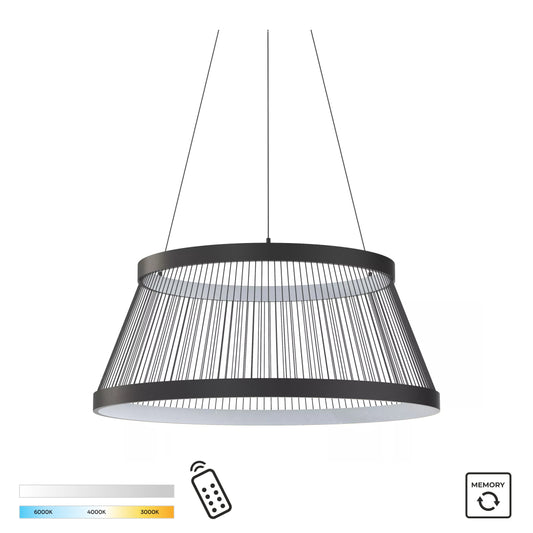 Black Decorative Light by Zuma Line