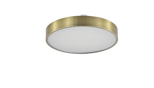 Modern Decorative Light by Zuma Line