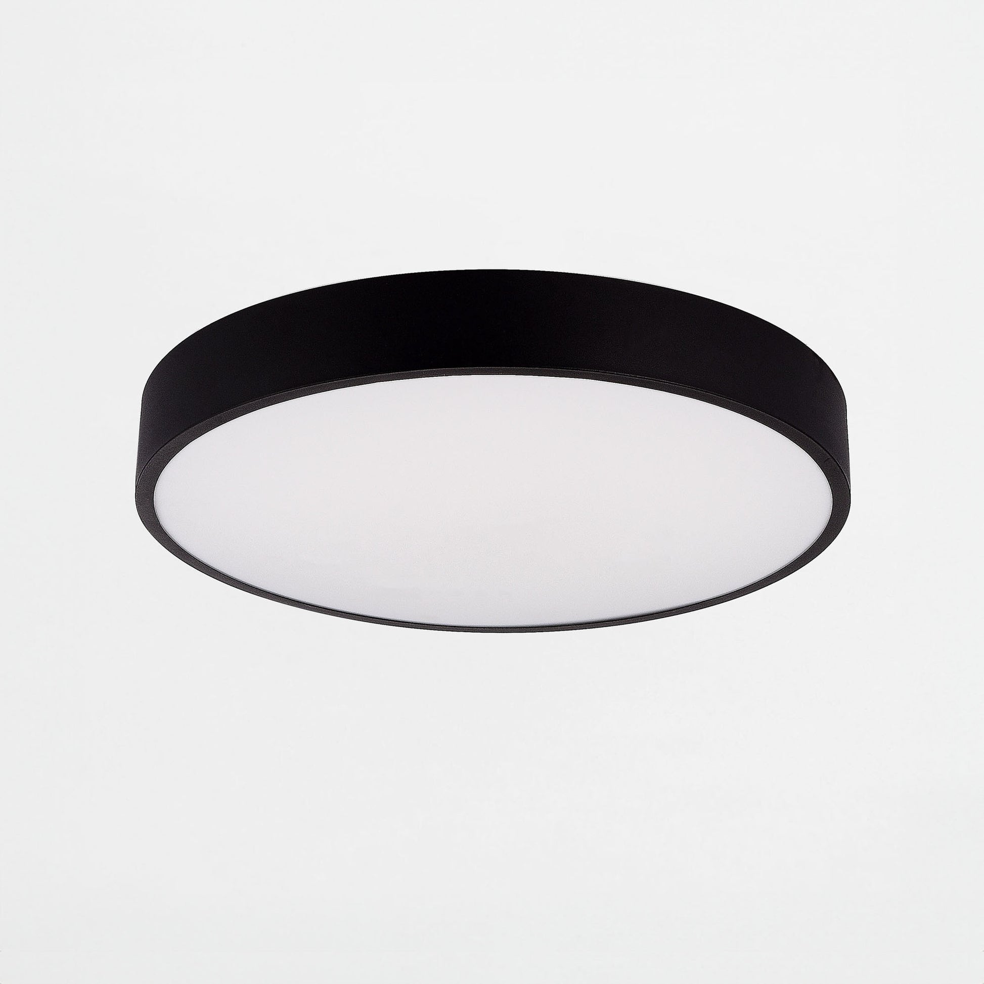 Black Decorative Light by Zuma Line