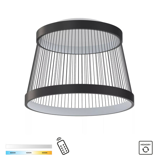 Black Decorative Light by Zuma Line