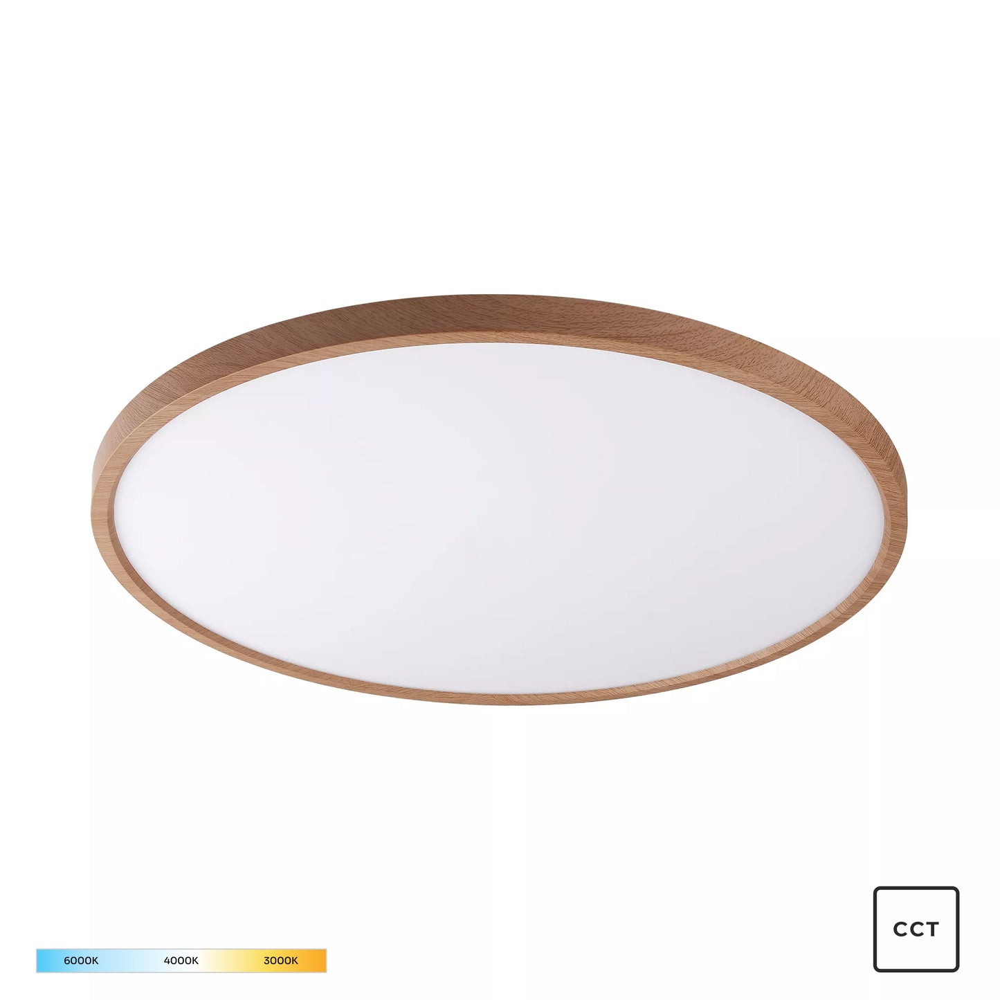 Modern Decorative Light by Zuma Line