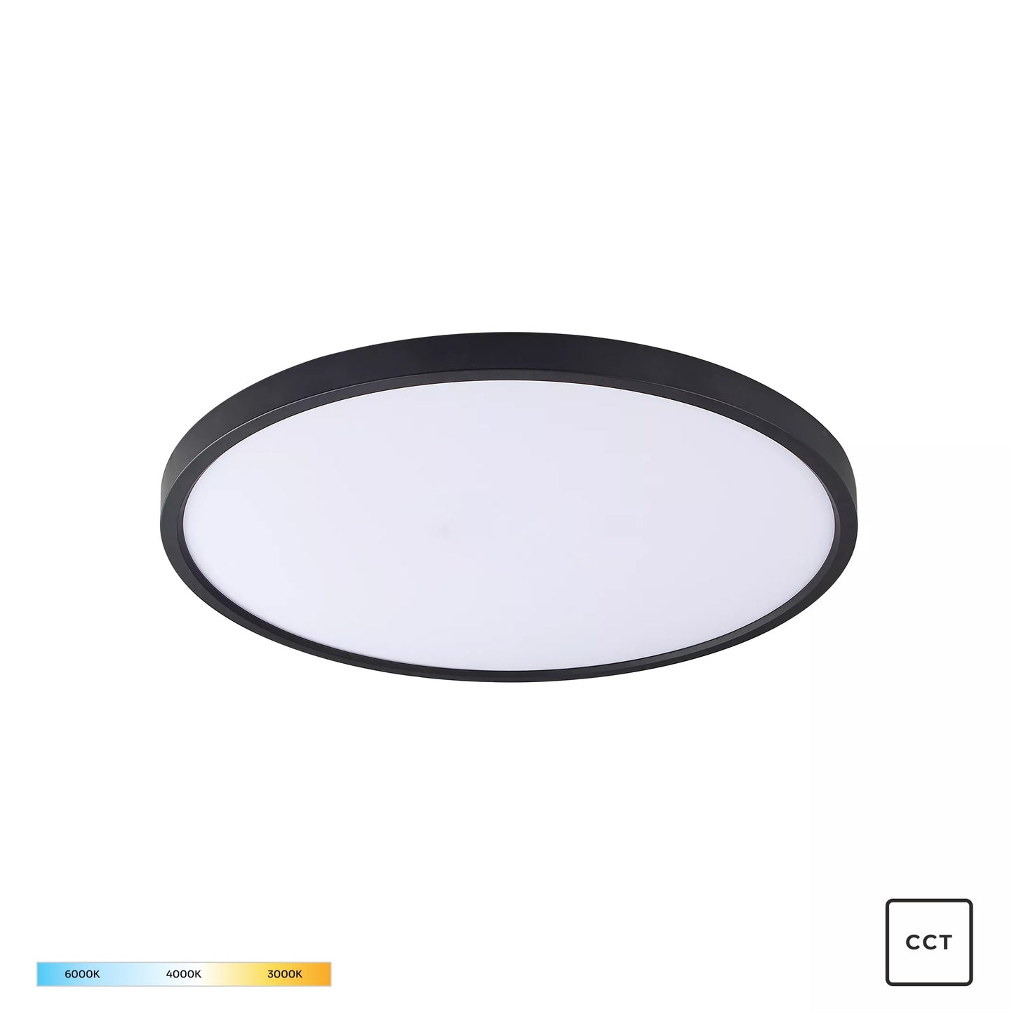 Black Decorative Light by Zuma Line
