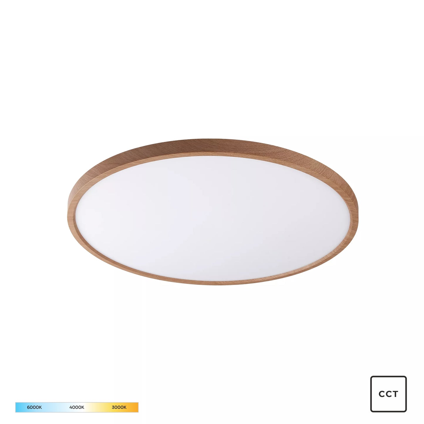 Modern Decorative Light by Zuma Line