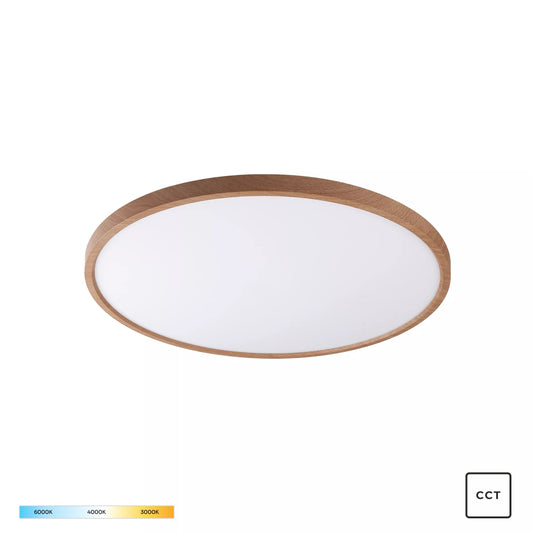 Modern Decorative Light by Zuma Line