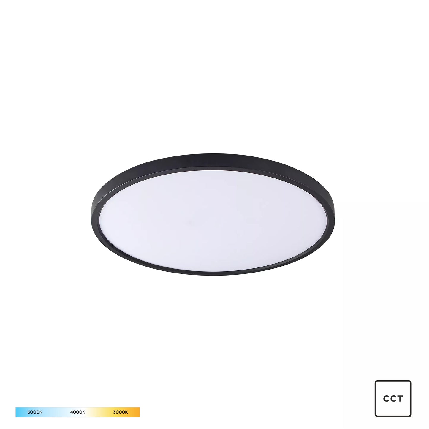 Black Decorative Light by Zuma Line