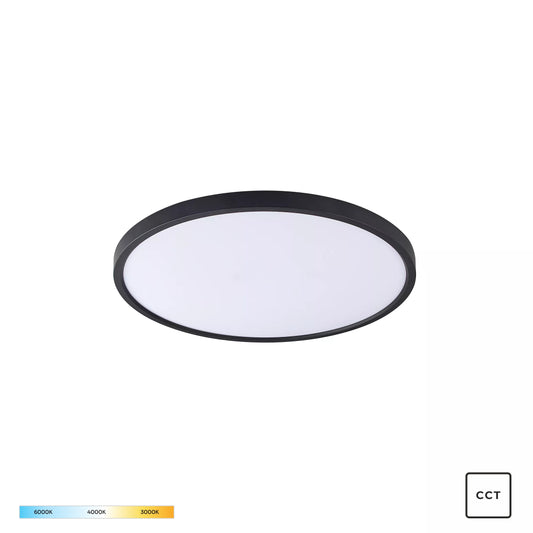 Black Decorative Light by Zuma Line