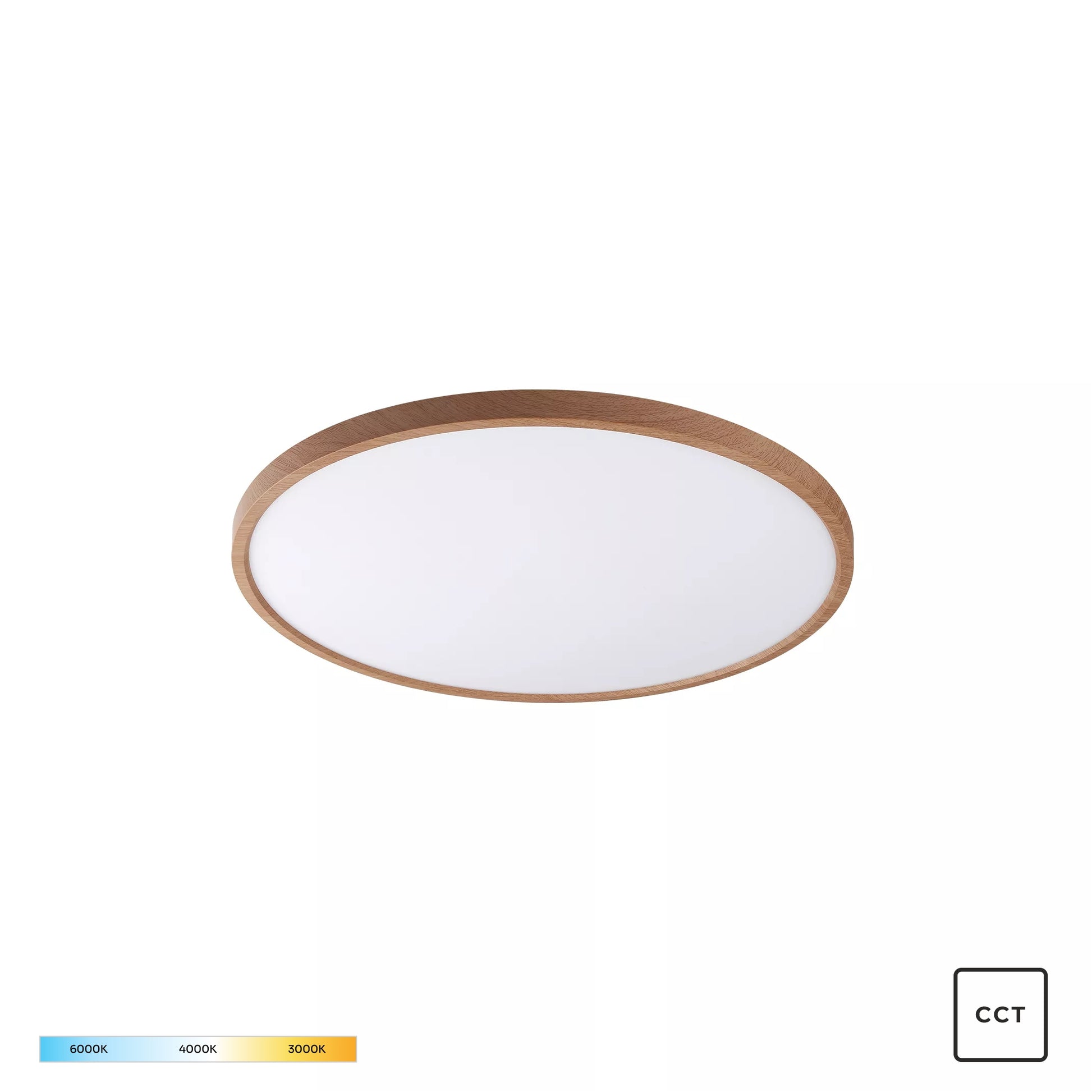 Modern Decorative Light by Zuma Line