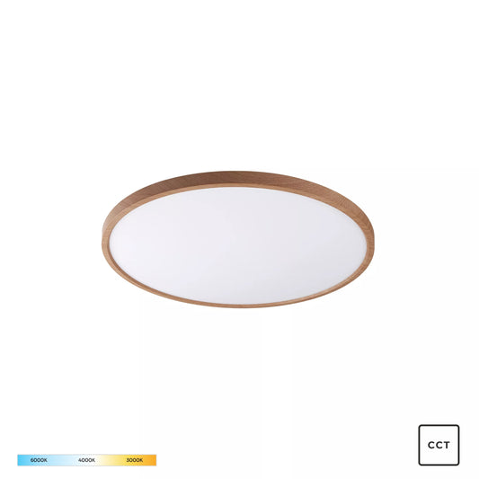 Modern Decorative Light by Zuma Line